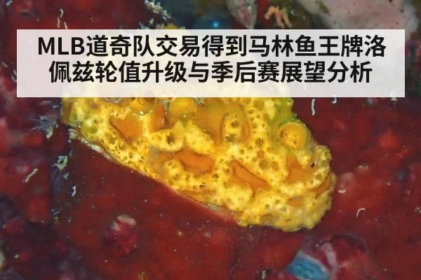 MLB道奇队交易得到马林鱼王牌洛佩兹轮值升级与季后赛展望分析